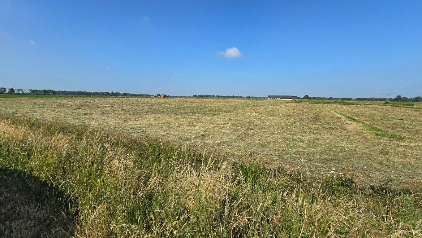 Bekijk foto 2 van Nieuwe Weg