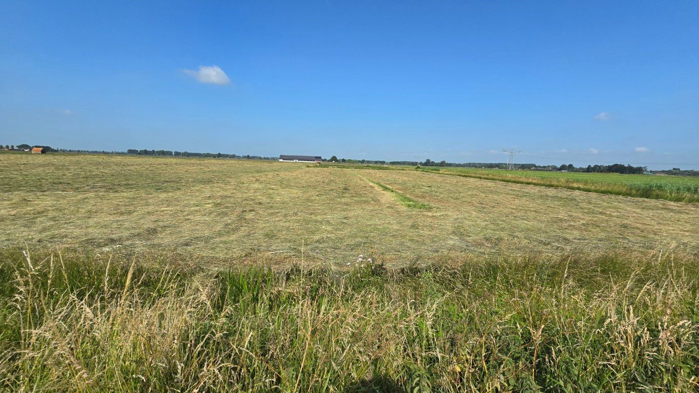 Bekijk foto 3 van Nieuwe Weg