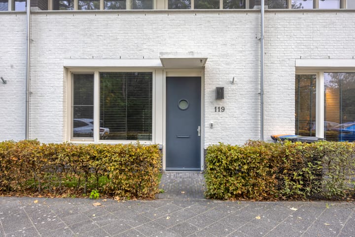 Foto 3 van Vlagtweddestraat 119