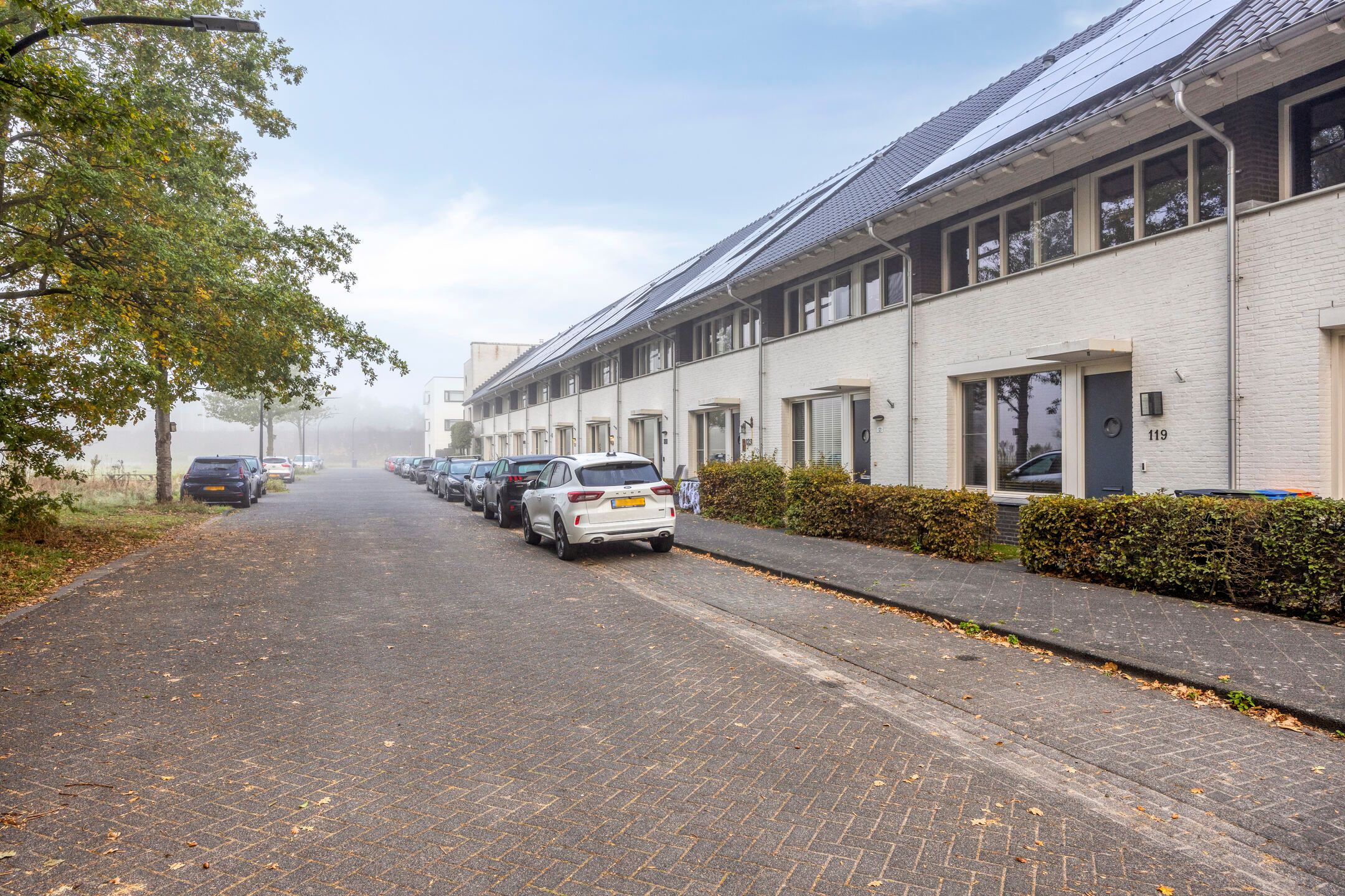 Foto 39 van Vlagtweddestraat 119