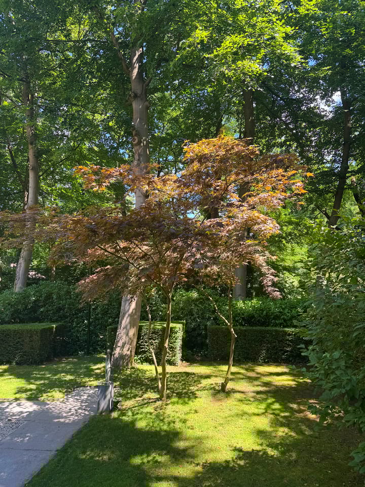 Foto 84 van Genistalaan 11