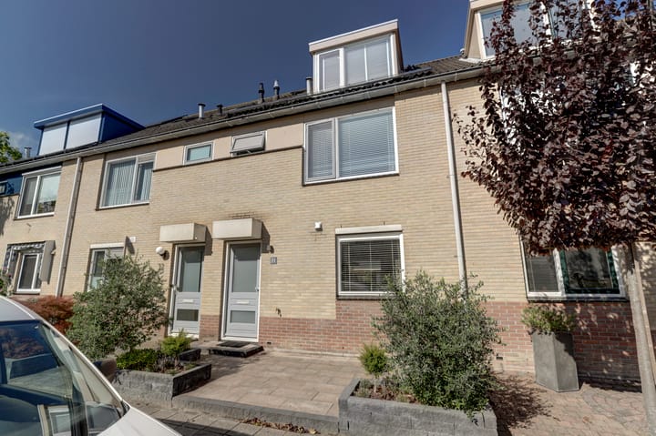 Foto 1 van Bladgroen 31