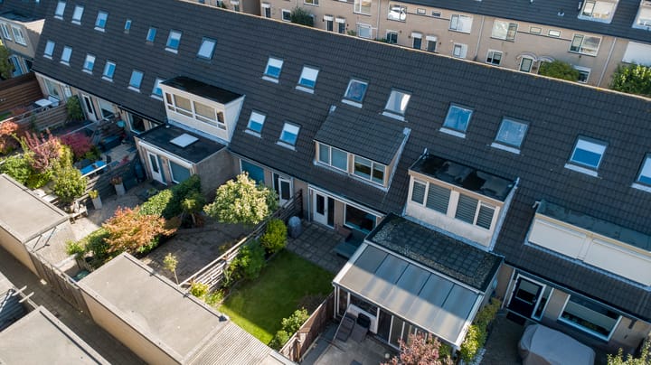 Foto 28 van Bladgroen 31