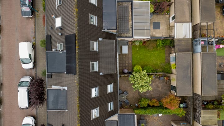 Foto 29 van Bladgroen 31