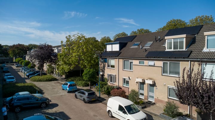 Foto 30 van Bladgroen 31