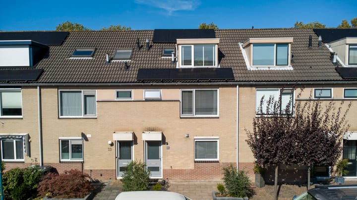 Foto 31 van Bladgroen 31