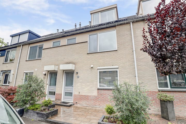 Foto 32 van Bladgroen 31