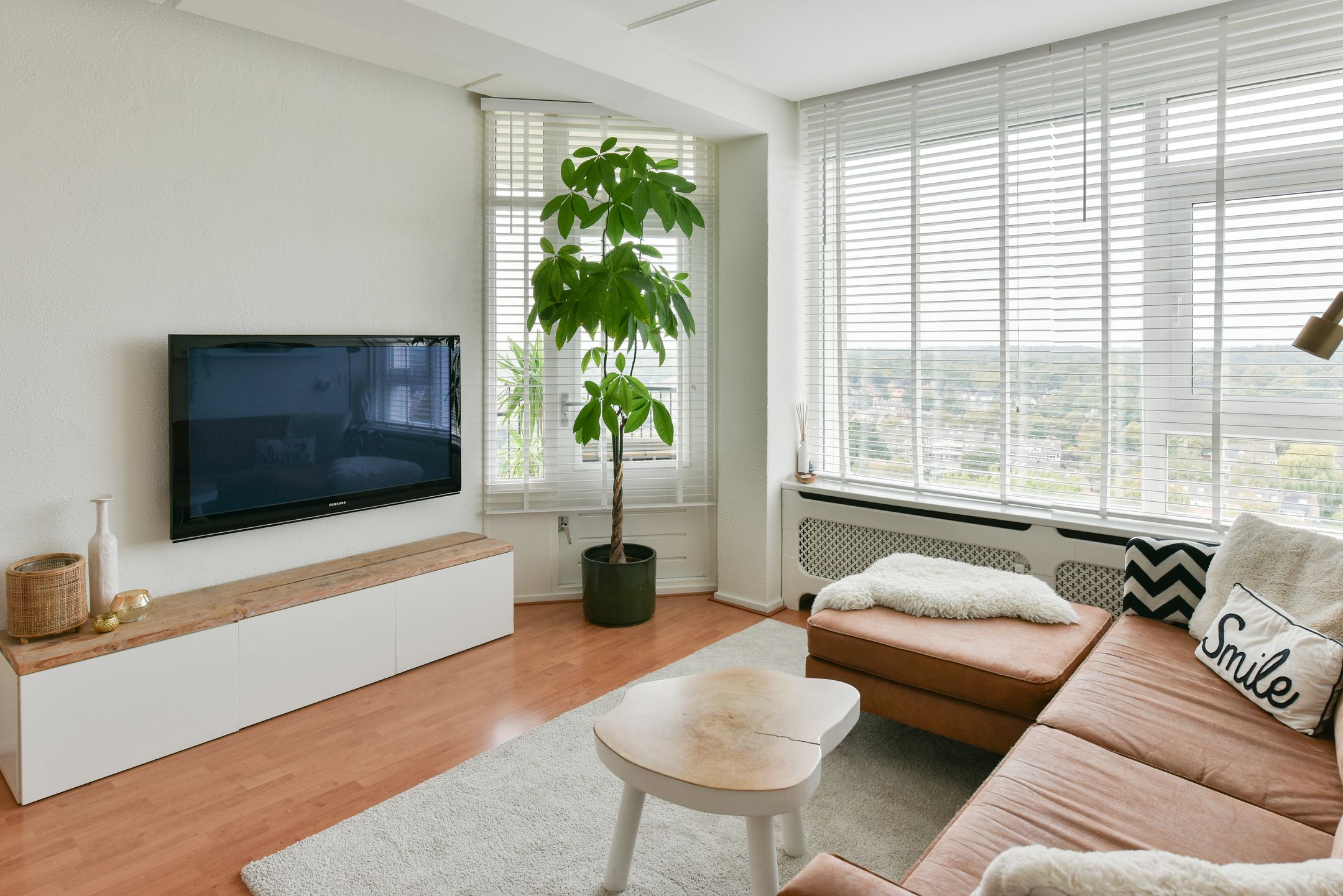 Photo 3 of Van Leeuwenhoekstraat 5-0153