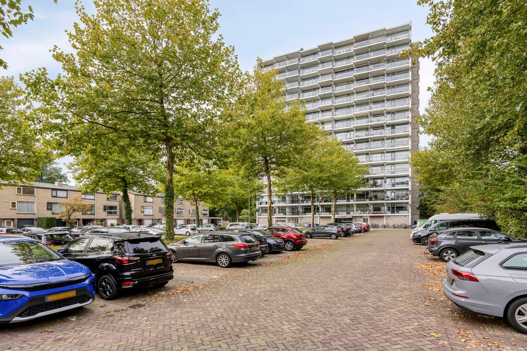 Foto 2 van Octant 203