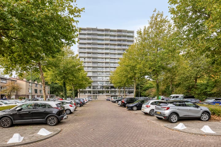 Foto 3 van Octant 203