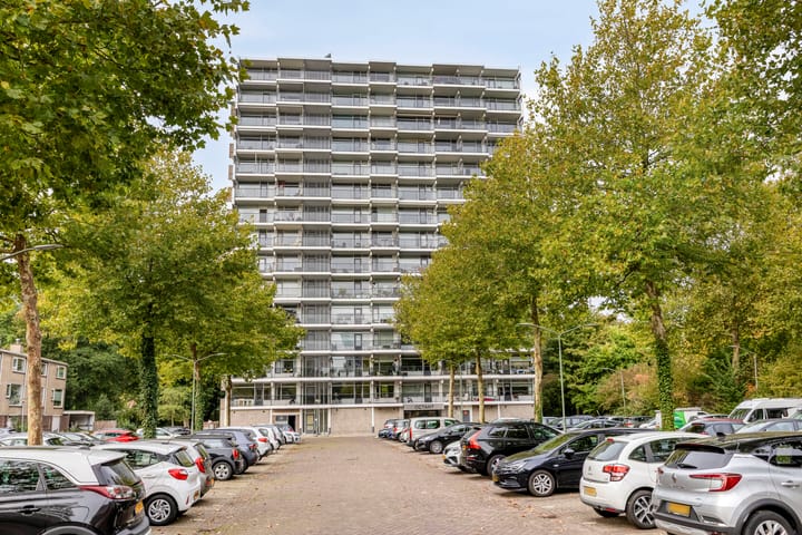 Foto 4 van Octant 203