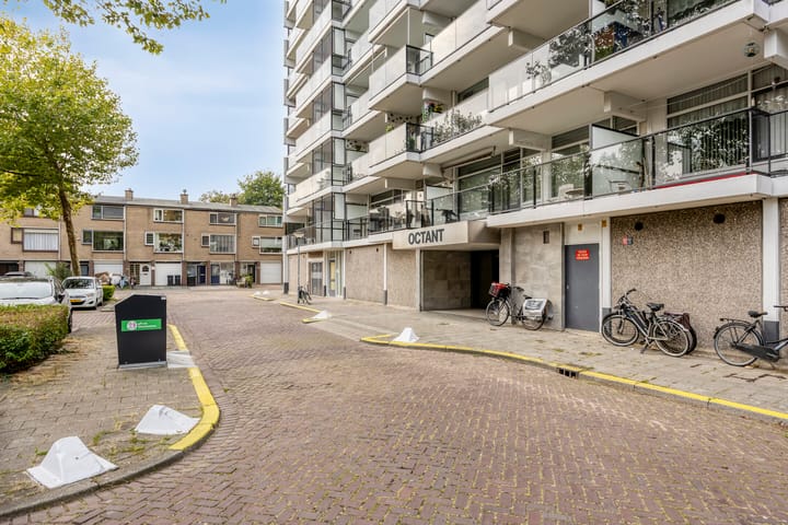 Foto 5 van Octant 203