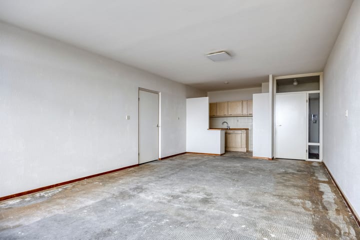 Foto 12 van Octant 203