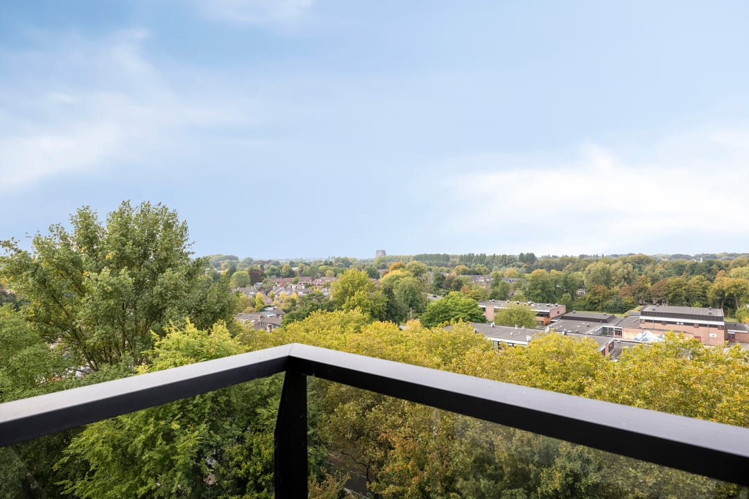 Foto 32 van Octant 203