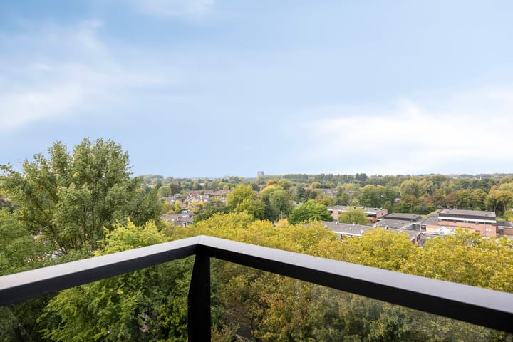 Foto 32 van Octant 203