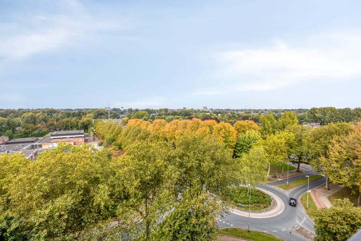 Foto 33 van Octant 203