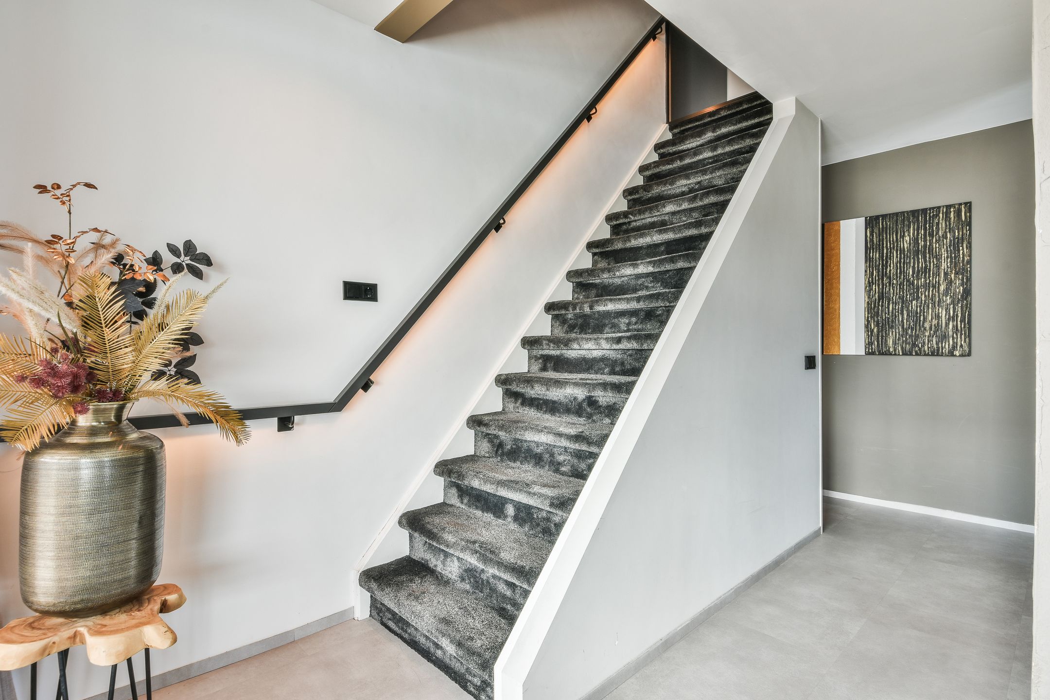Foto 24 van Fokkeboom 50