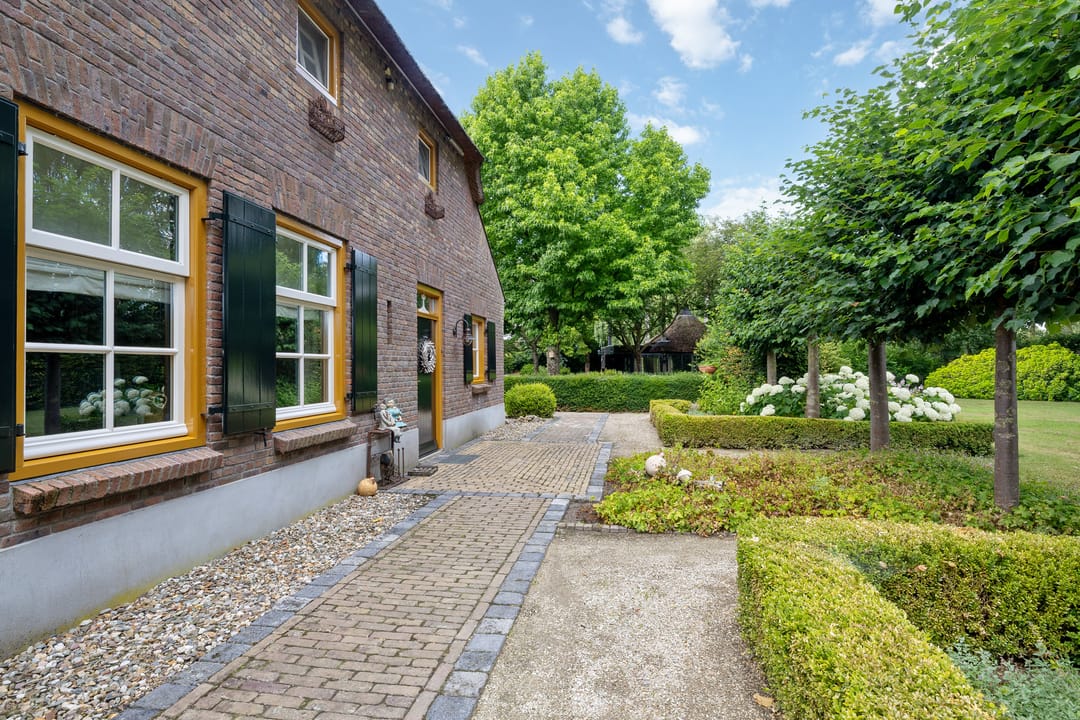 Photo 7 of Looieind 30