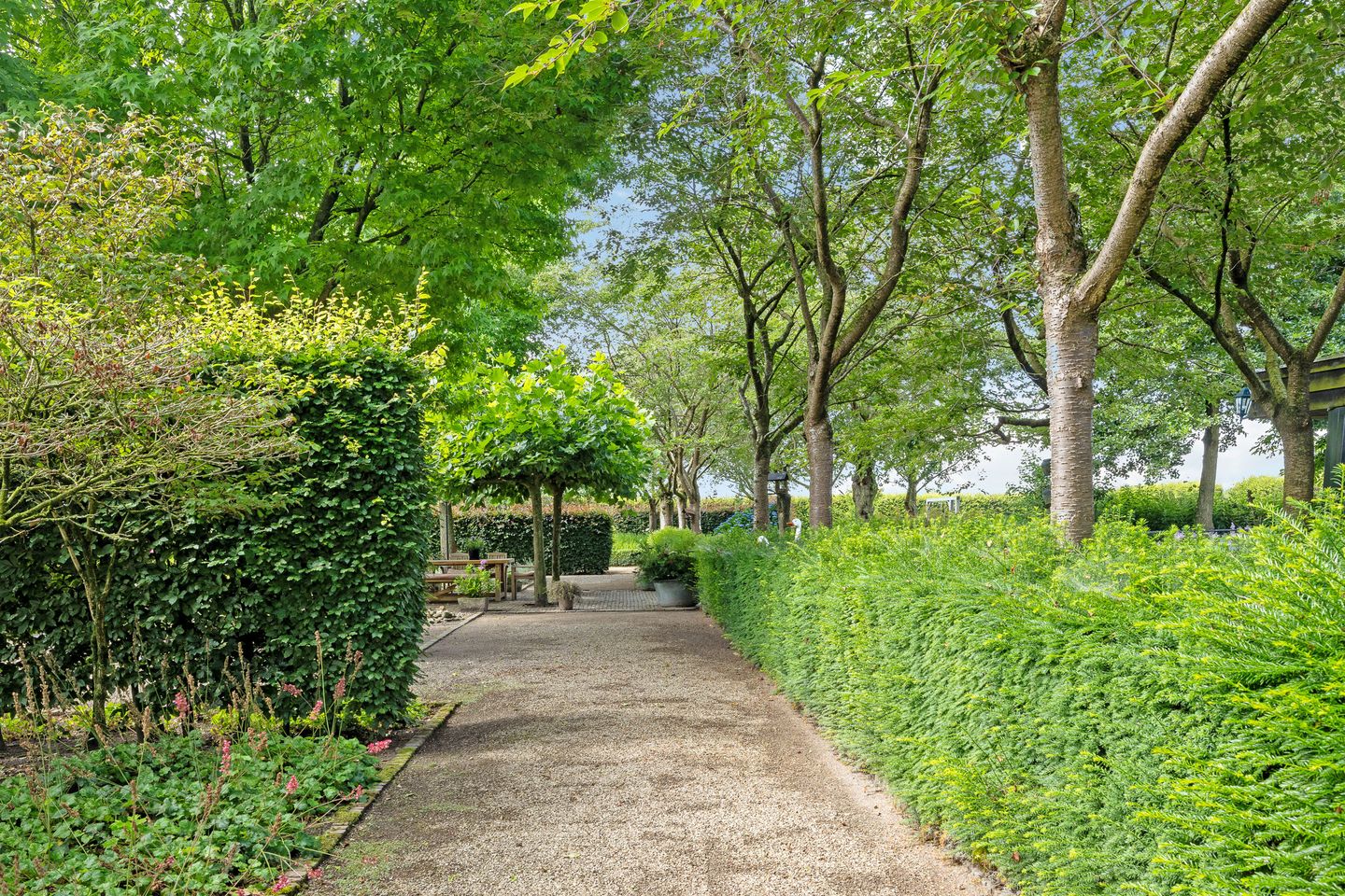 Photo 65 of Looieind 30