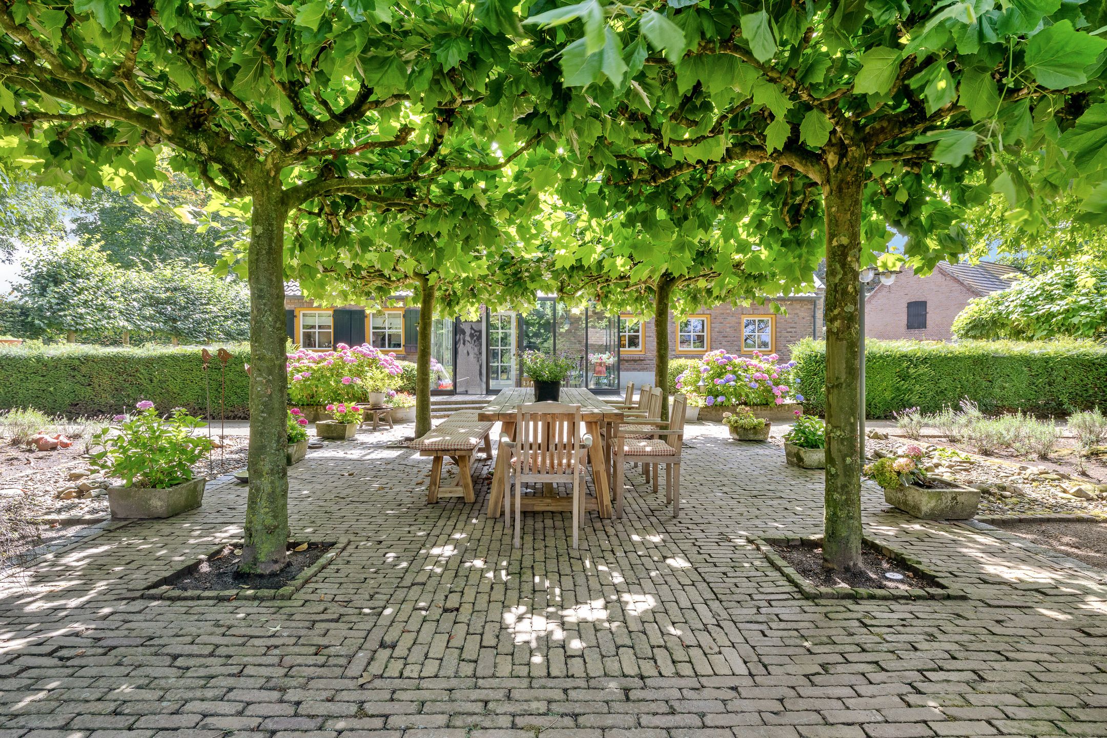 Photo 72 of Looieind 30