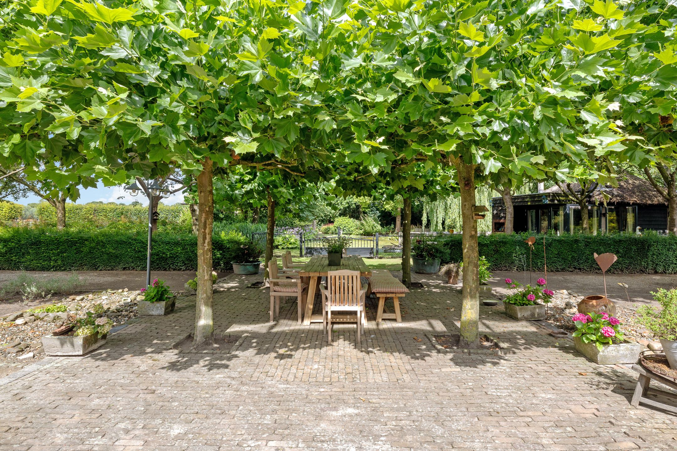 Photo 75 of Looieind 30