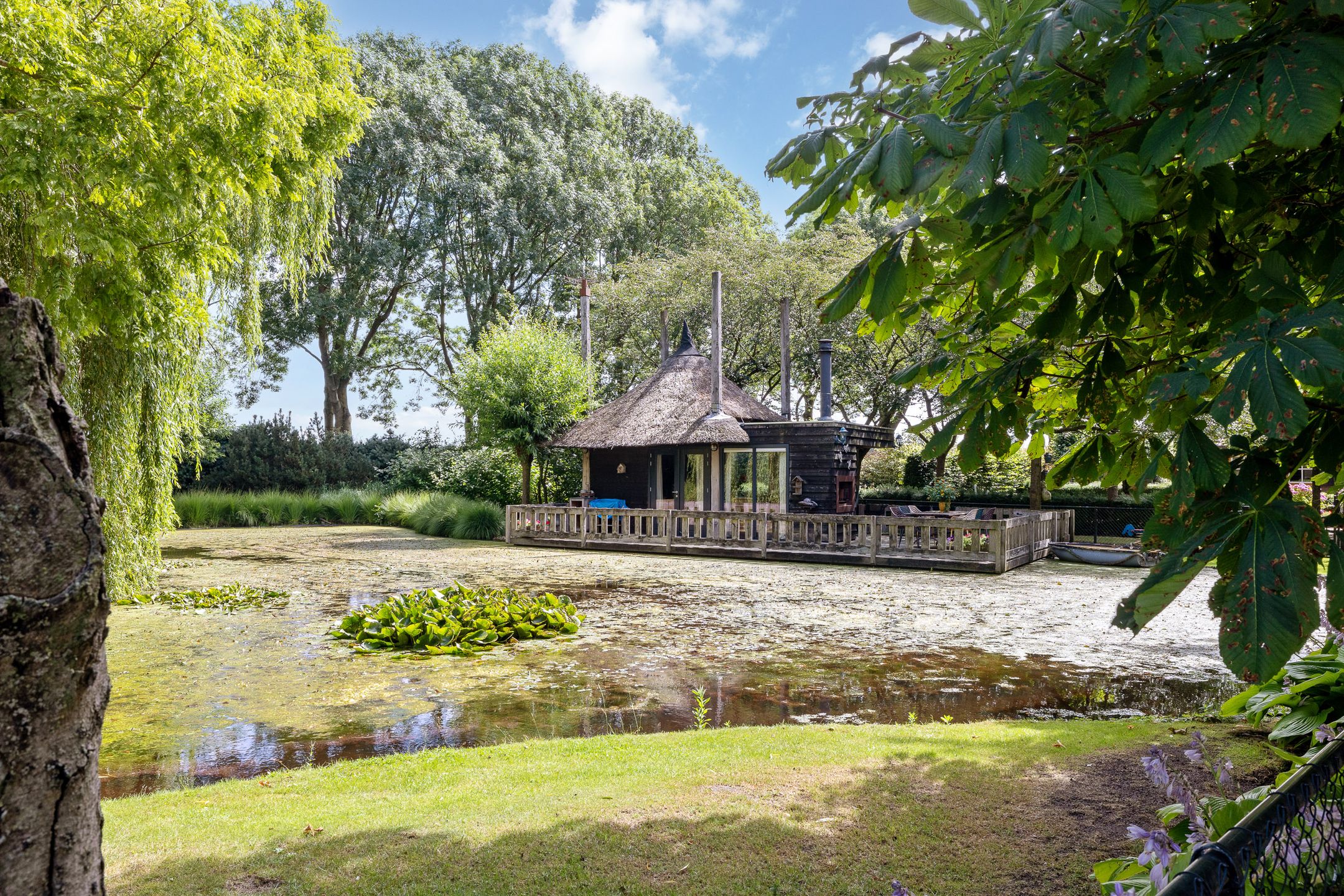 Photo 6 of Looieind 30