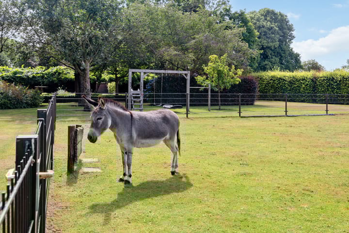 Foto 78 van Looieind 30