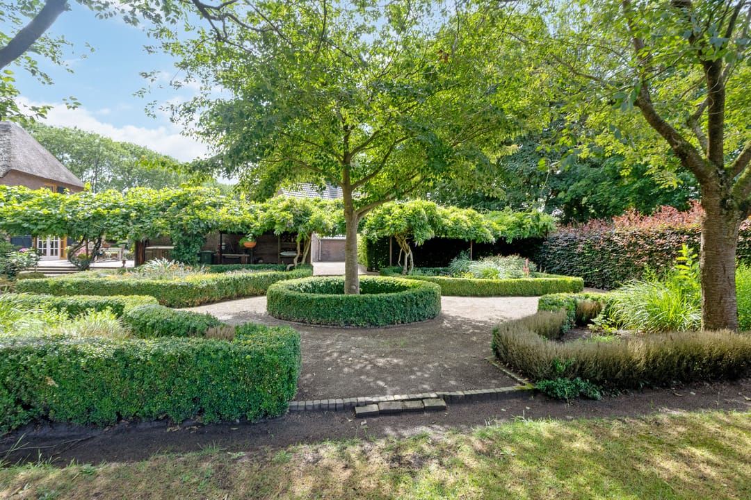 Photo 82 of Looieind 30