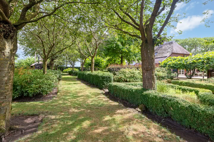 Foto 83 van Looieind 30