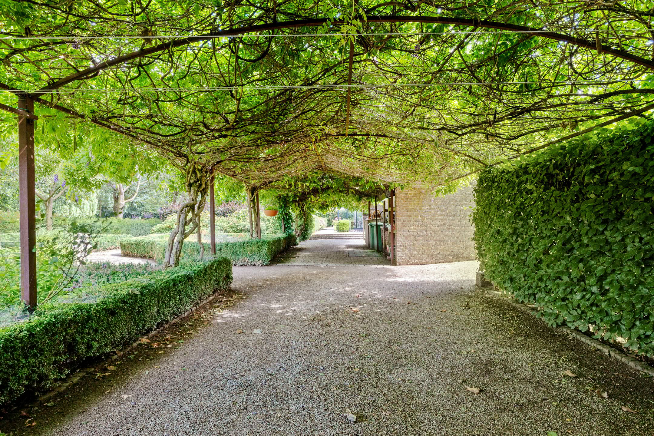 Photo 84 of Looieind 30