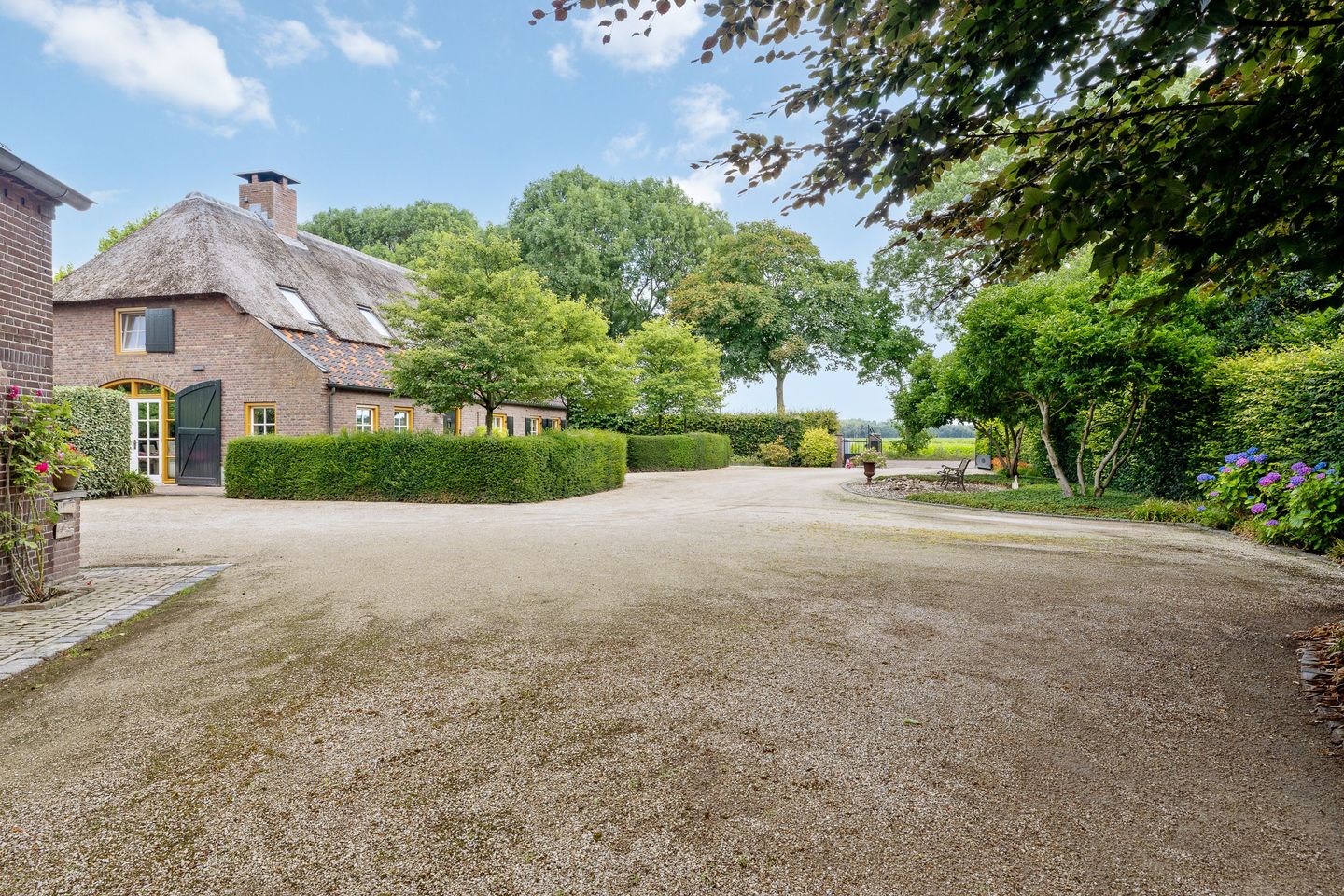 Photo 104 of Looieind 30