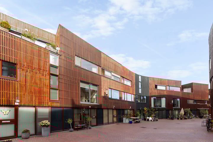 Foto 1 van Kokardebloem 28