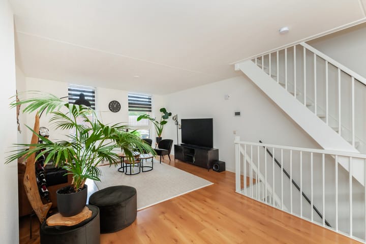 Foto 12 van Kokardebloem 28