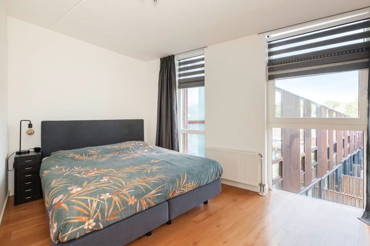 Foto 20 van Kokardebloem 28