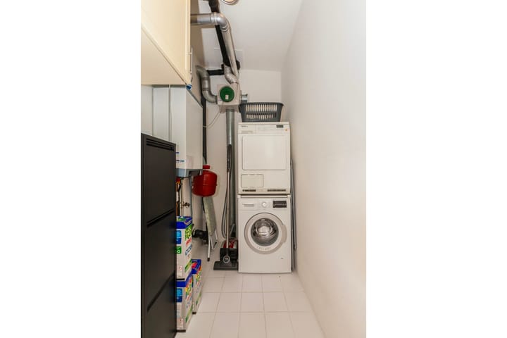 Foto 30 van Kokardebloem 28