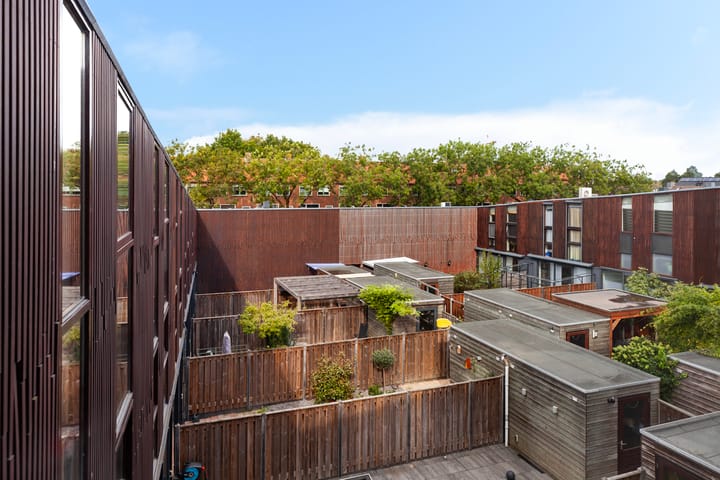 Foto 33 van Kokardebloem 28