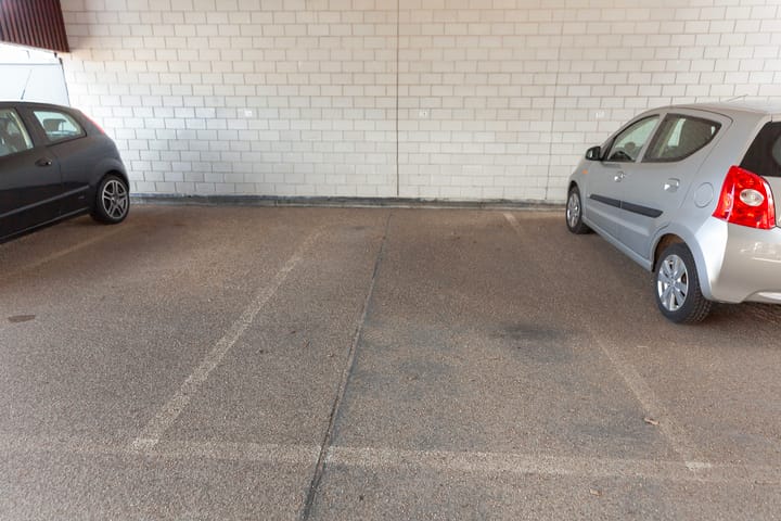 Foto 34 van Kokardebloem 28