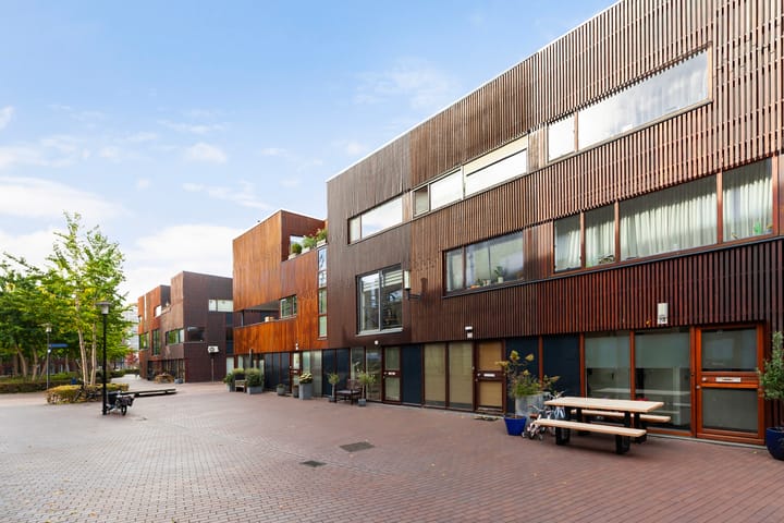 Foto 36 van Kokardebloem 28