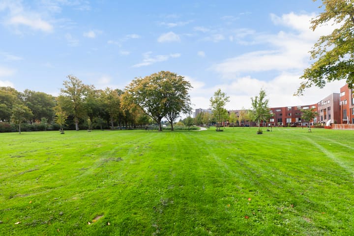 Foto 38 van Kokardebloem 28