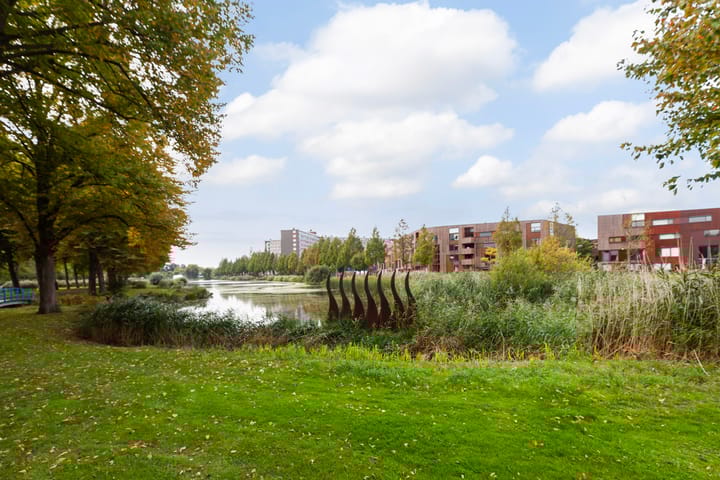 Foto 39 van Kokardebloem 28