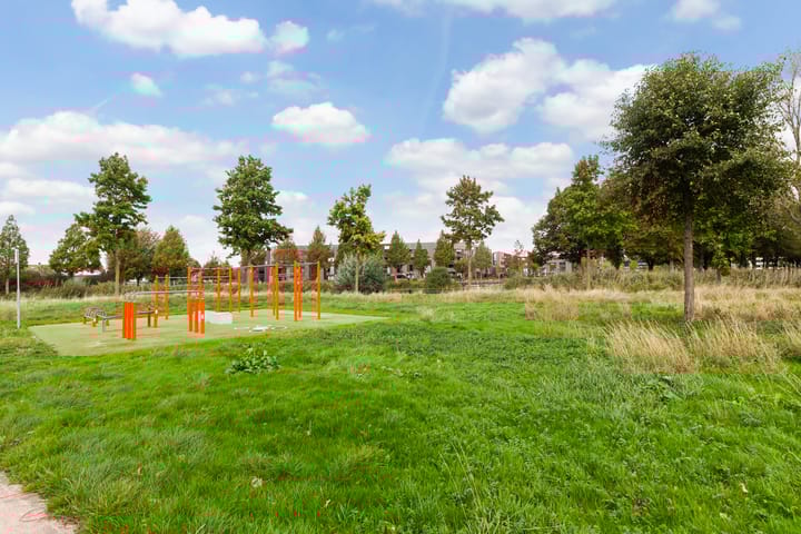 Foto 40 van Kokardebloem 28