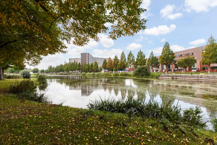 Foto 42 van Kokardebloem 28