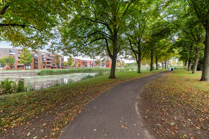 Foto 43 van Kokardebloem 28