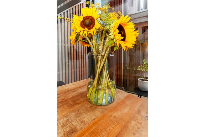 Foto 9 van Kokardebloem 28