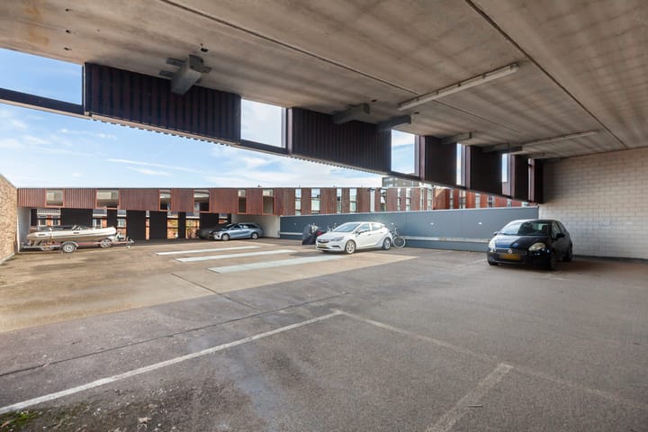 Foto 35 van Kokardebloem 28