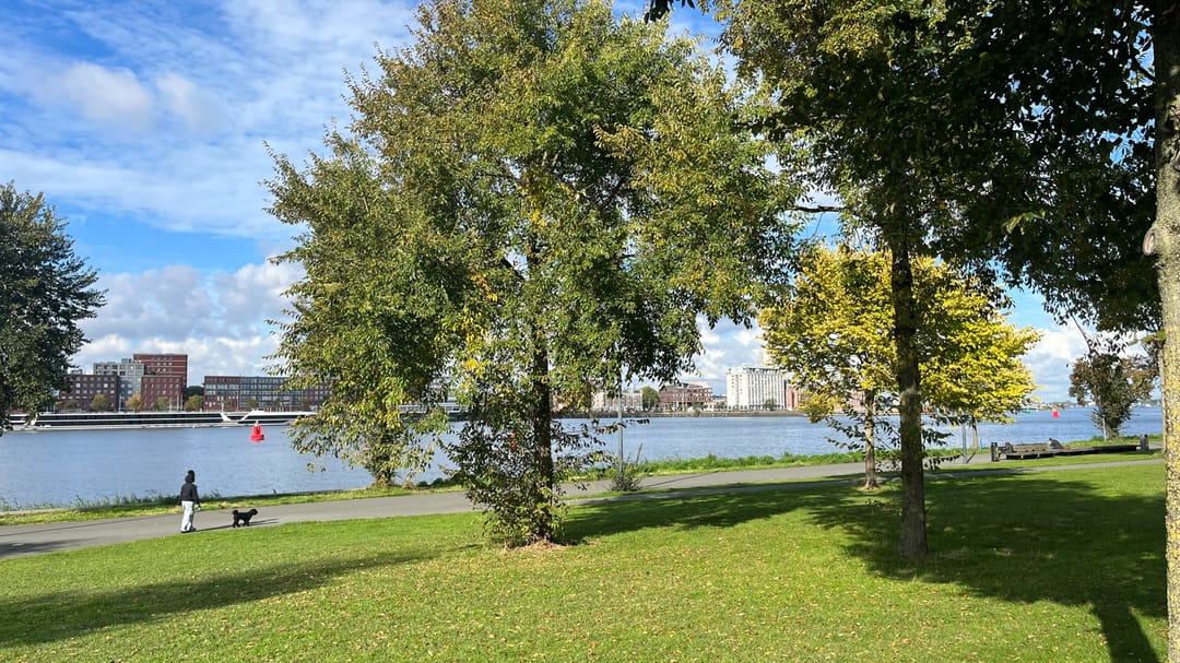 Photo 26 of Overhoeksparklaan 230