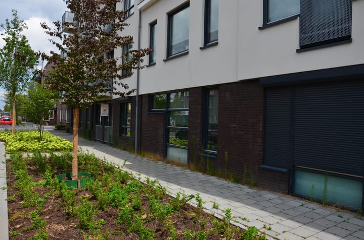 Foto 3 van Tweeling 5