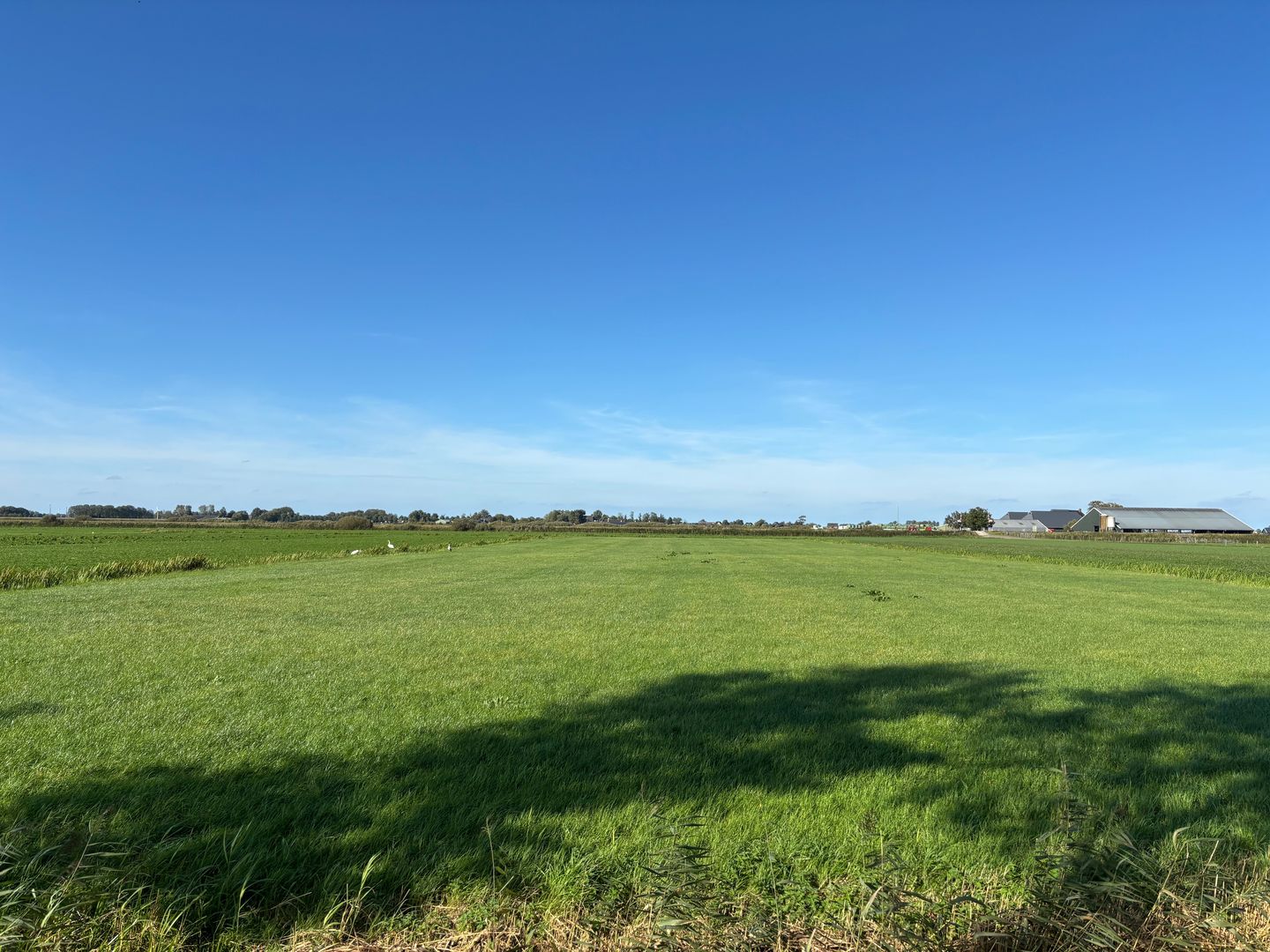 Bekijk foto 5 van Hoendiep Oostzijde