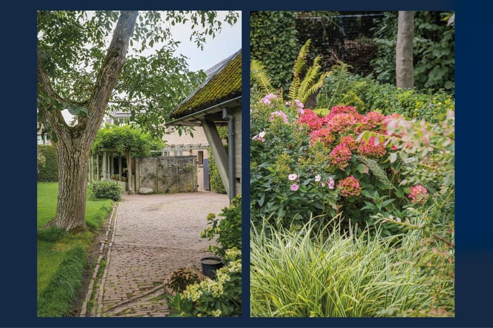 Photo 52 of Kamperfoeliestraat 23