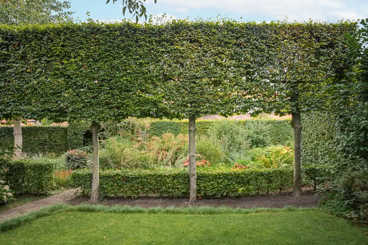 Photo 55 of Kamperfoeliestraat 23